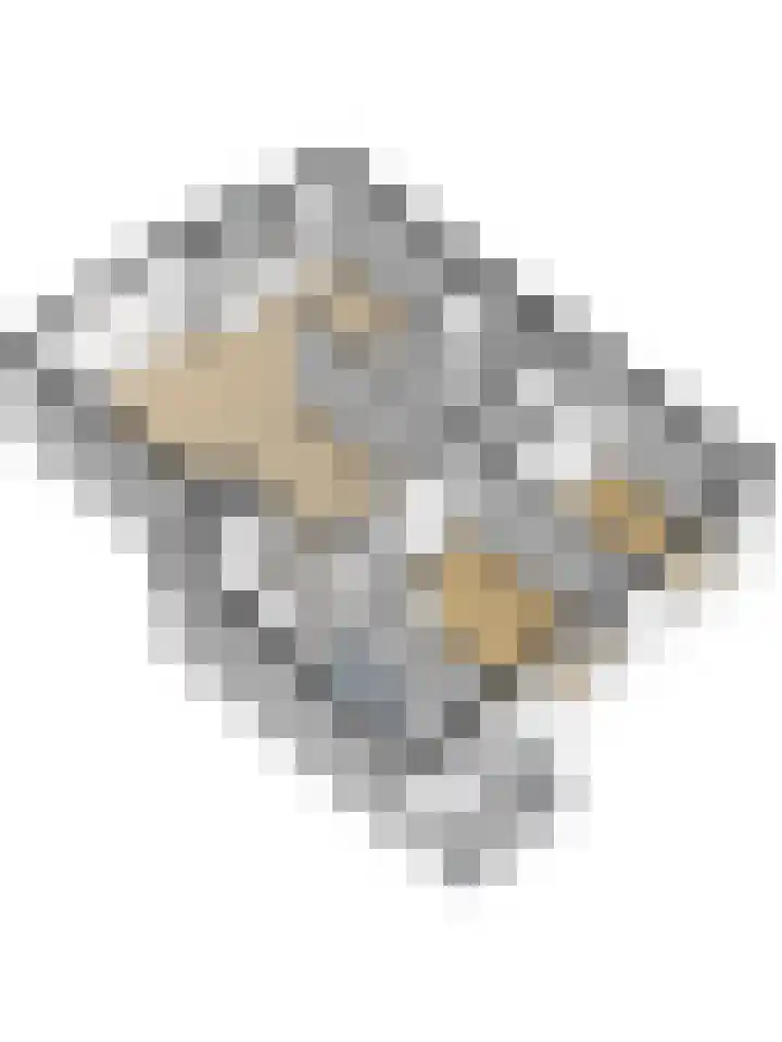 Pieter de Hoochstraat 30 Ridderkerk thumbnail 35