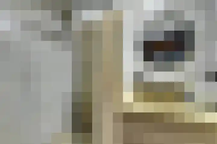 Pieter de Hoochstraat 30 Ridderkerk thumbnail 4