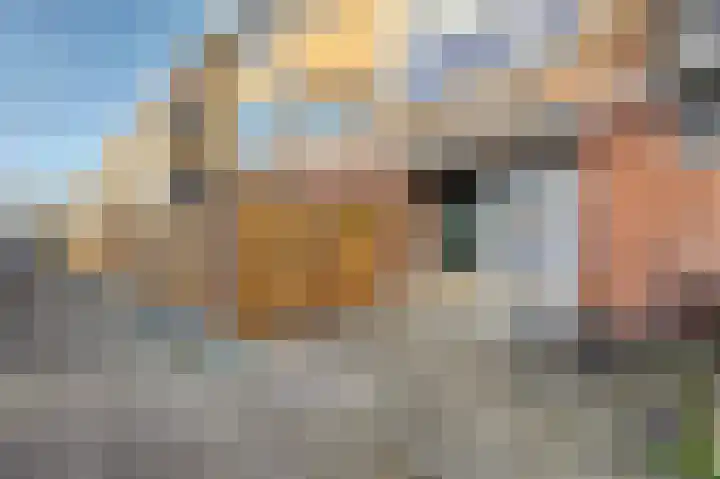 Pieter de Hoochstraat 30 Ridderkerk thumbnail 6
