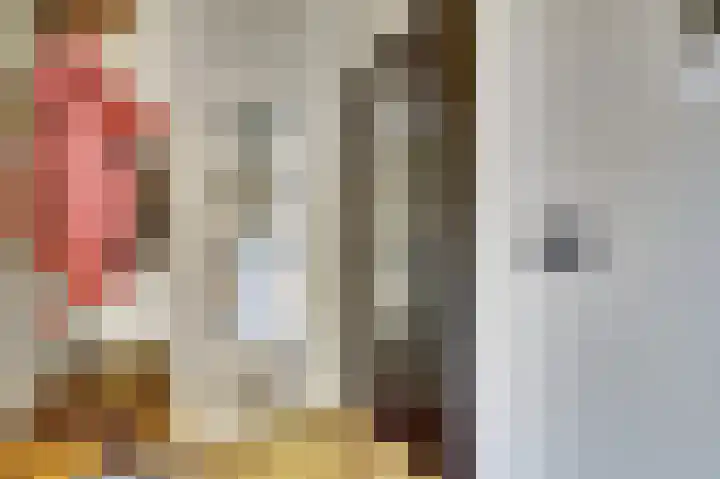 Pieter de Hoochstraat 30 Ridderkerk thumbnail 7