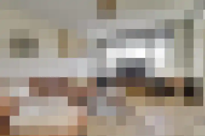 Pieter de Hoochstraat 30 Ridderkerk thumbnail 9