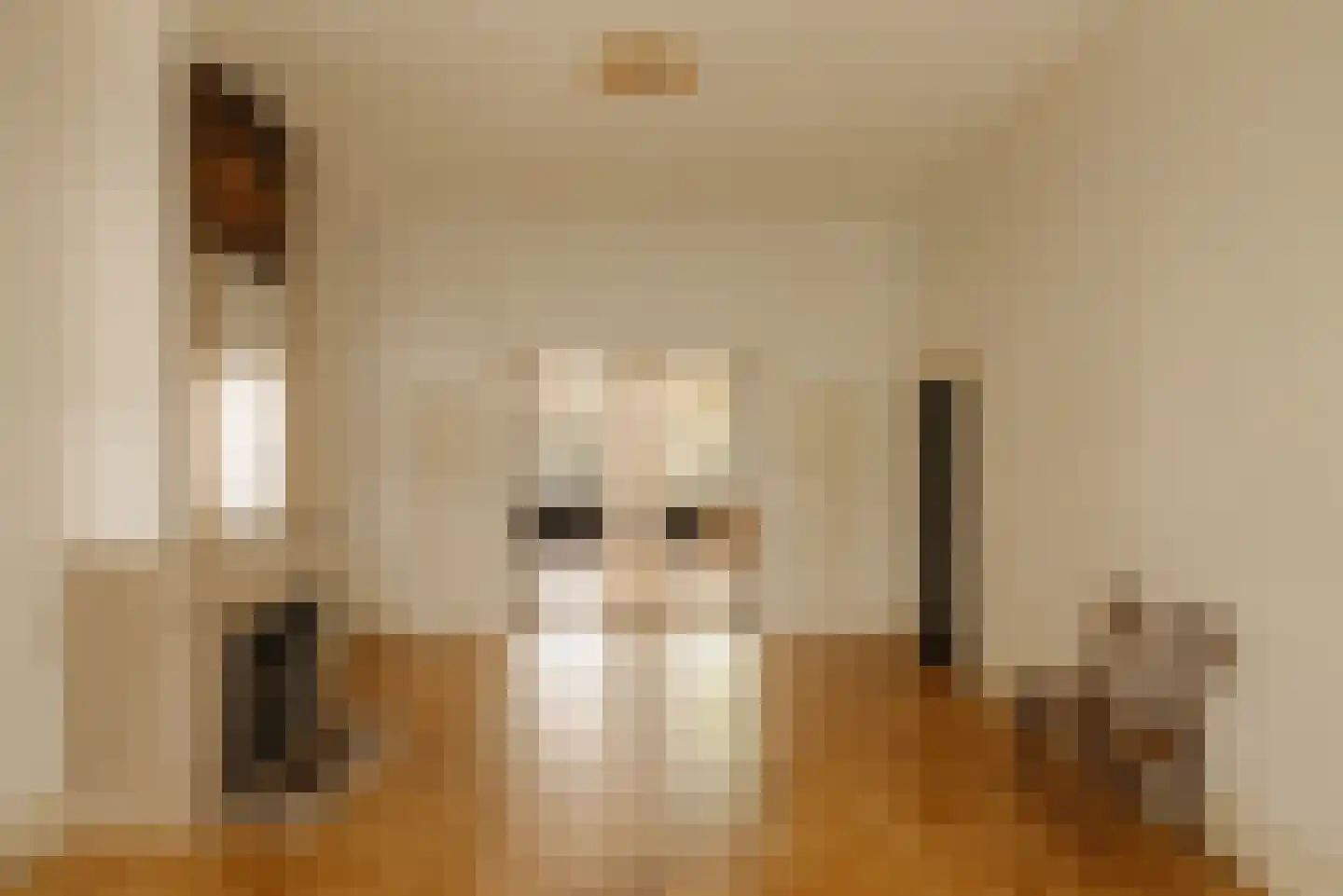Pieter de Hoochstraat 32 Amsterdam thumbnail 12