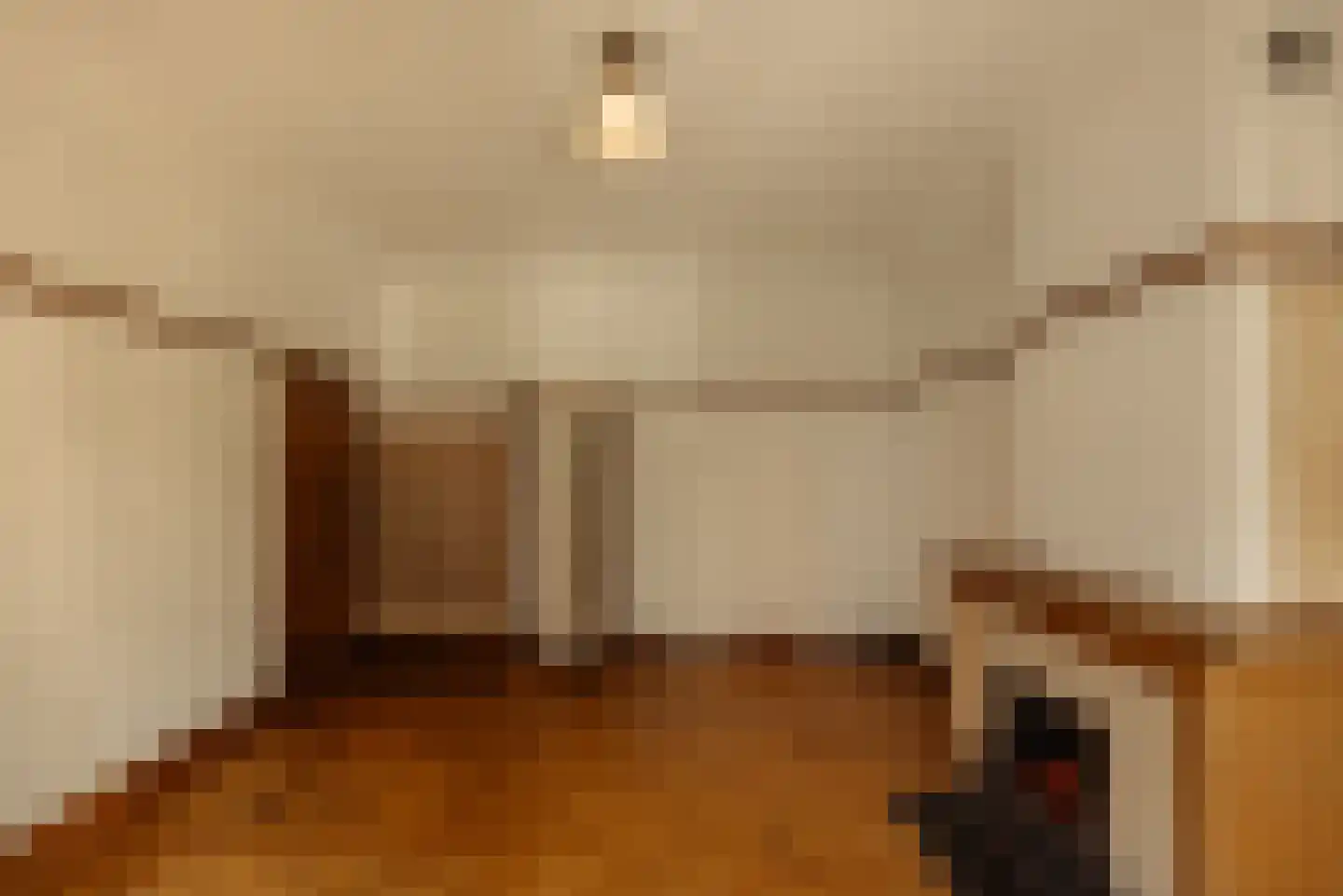 Pieter de Hoochstraat 32 Amsterdam thumbnail 25