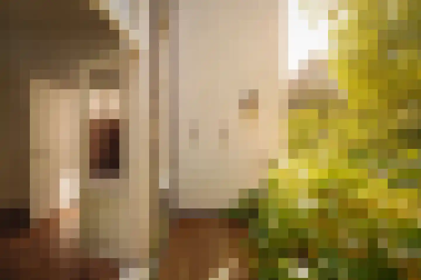 Pieter de Hoochstraat 32 Amsterdam thumbnail 30