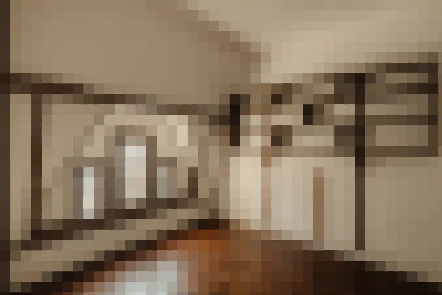 Pieter de Hoochstraat 32 Amsterdam thumbnail 39