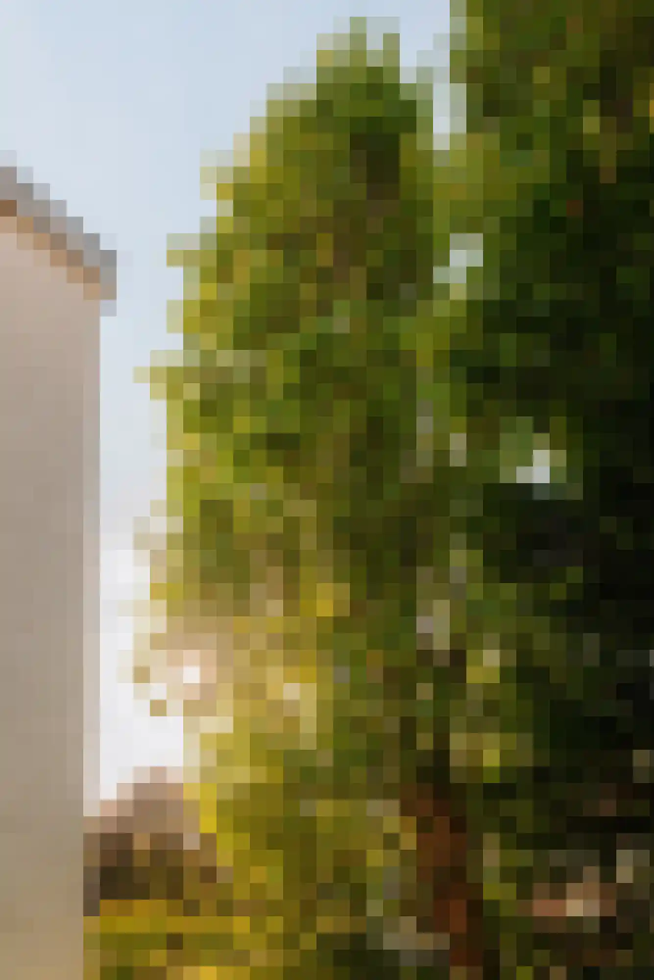 Pieter de Hoochstraat 32 Amsterdam thumbnail 43