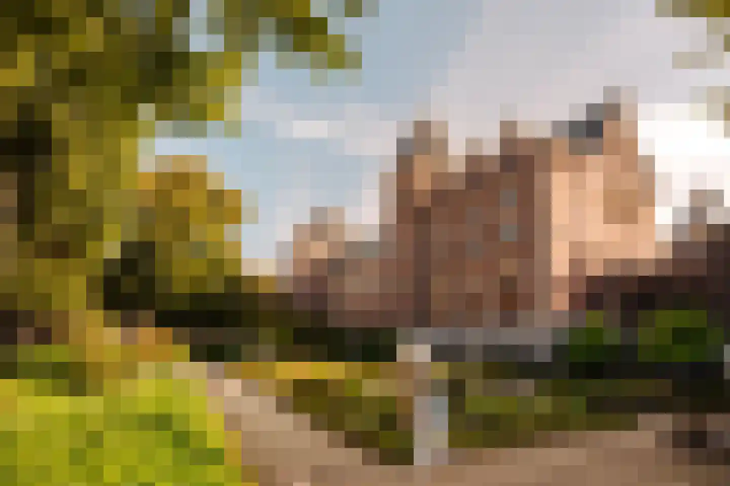 Pieter de Hoochstraat 32 Amsterdam thumbnail 50