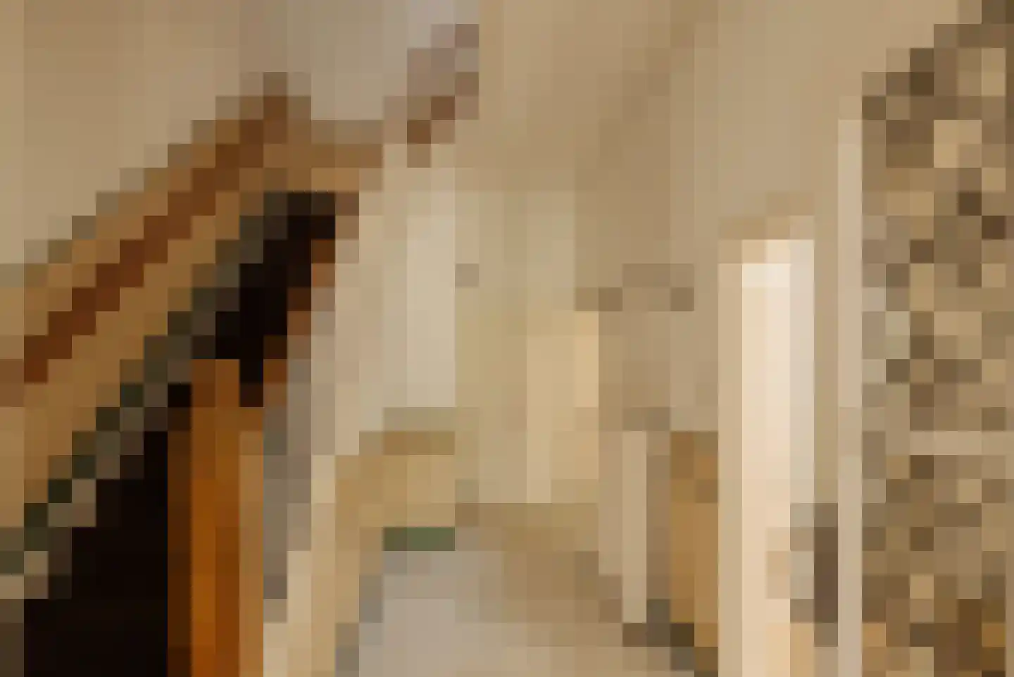 Pieter de Hoochstraat 32 Amsterdam thumbnail 9