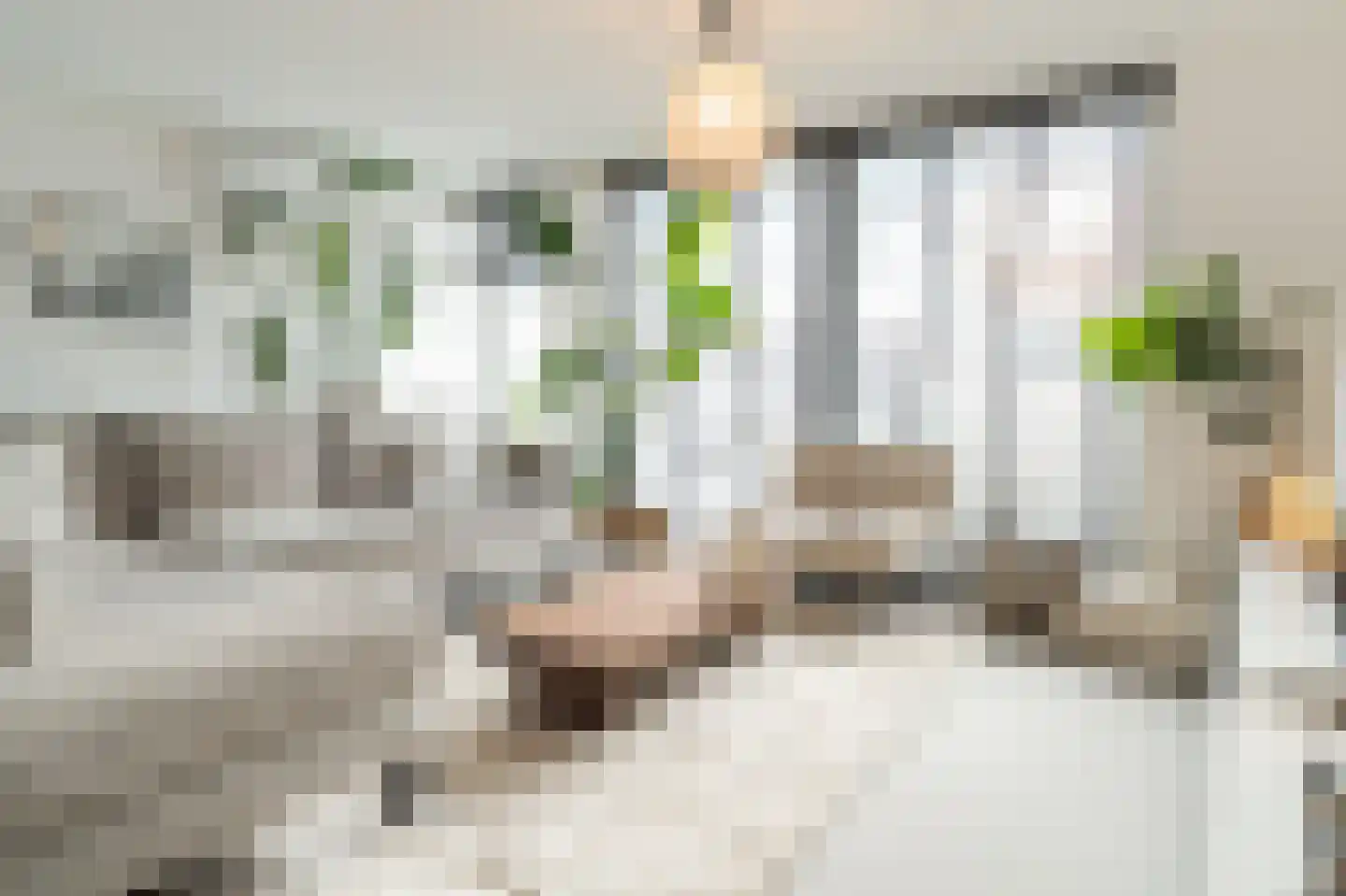Pieter de Hoochstraat 33 Maassluis thumbnail 11