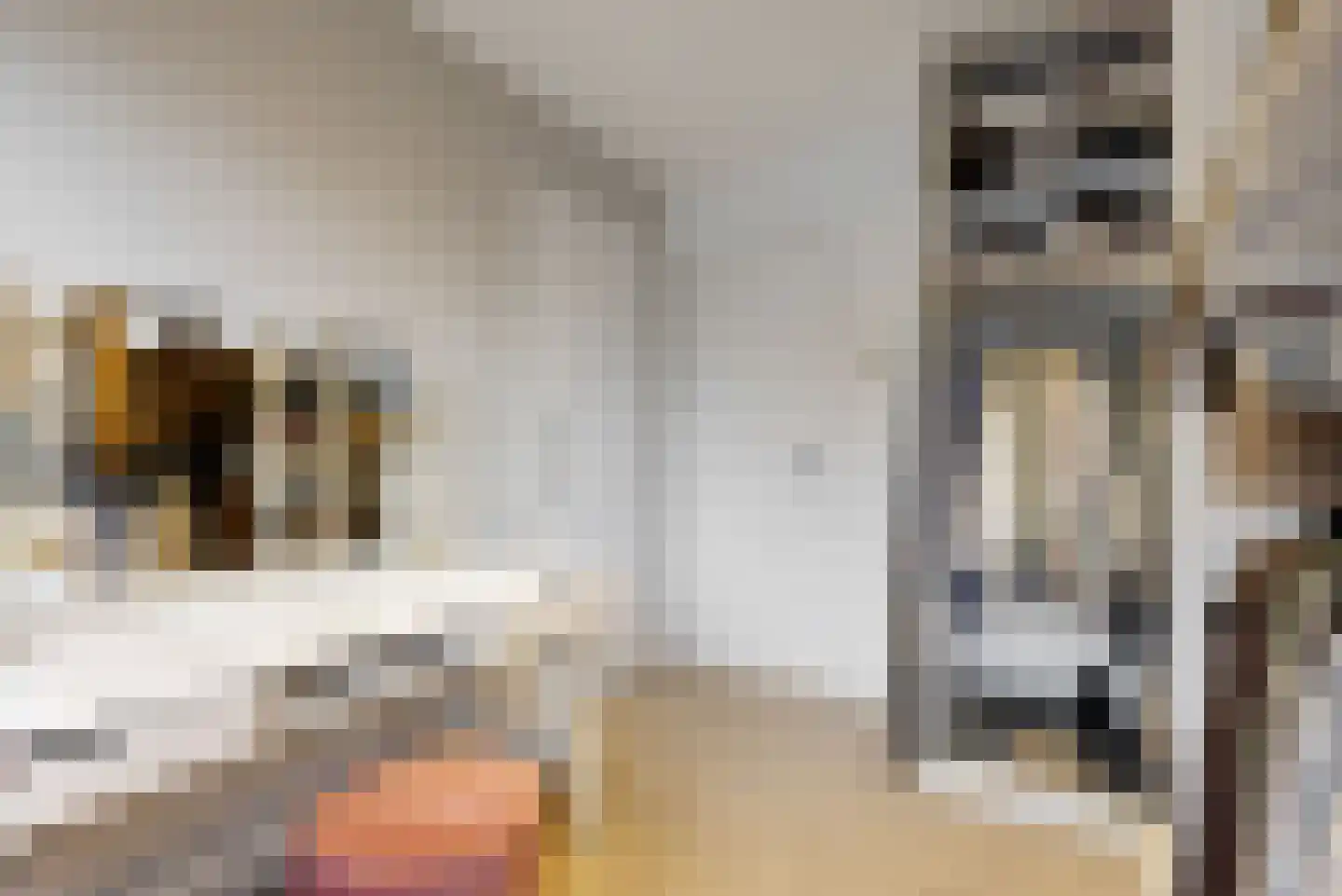 Pieter de Hoochstraat 33 Maassluis thumbnail 33