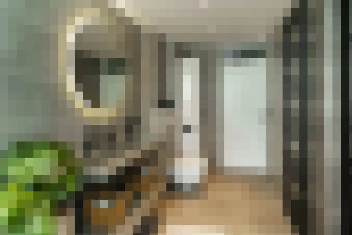Pieter de Hoochstraat 33 Maassluis thumbnail 35