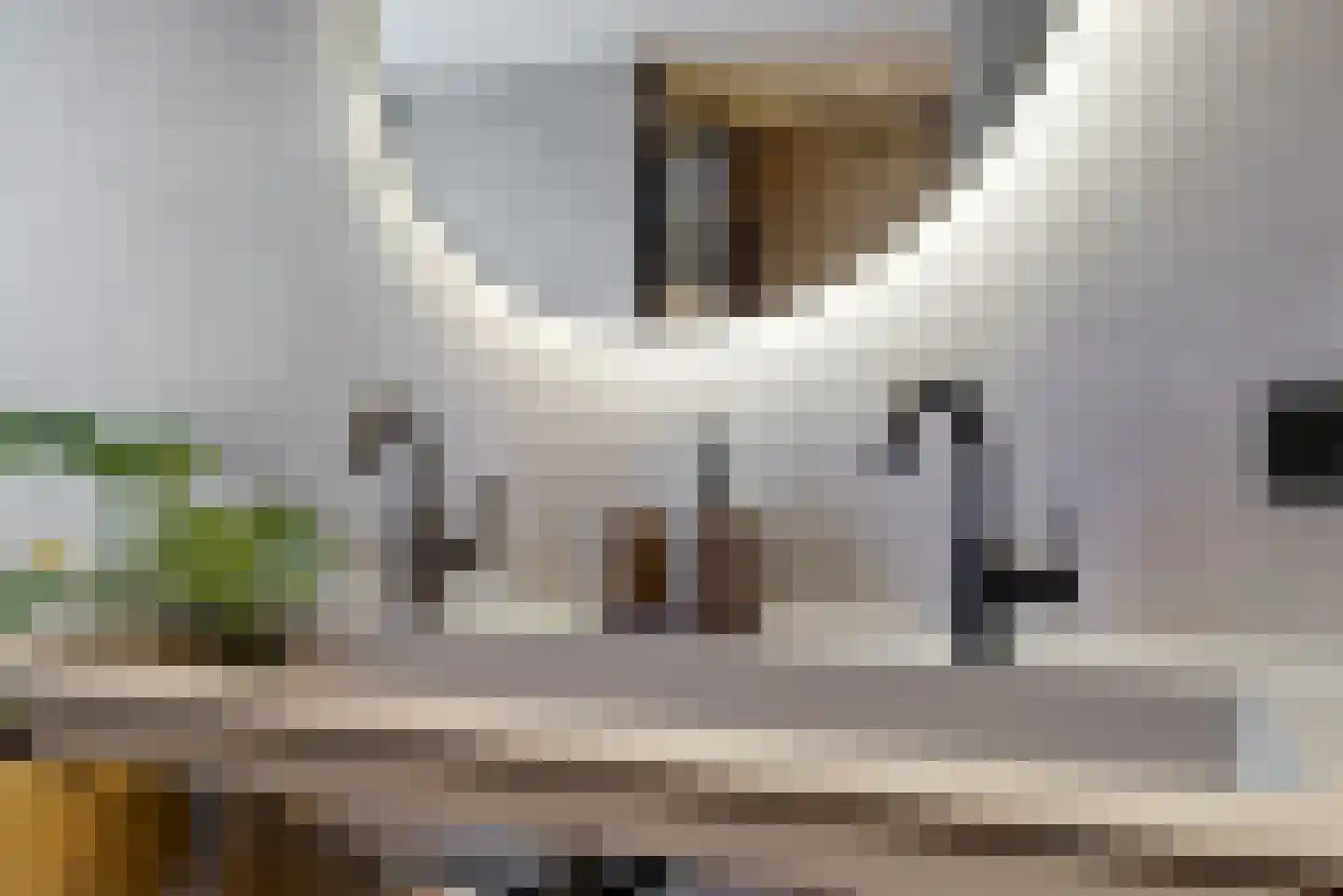 Pieter de Hoochstraat 33 Maassluis thumbnail 37