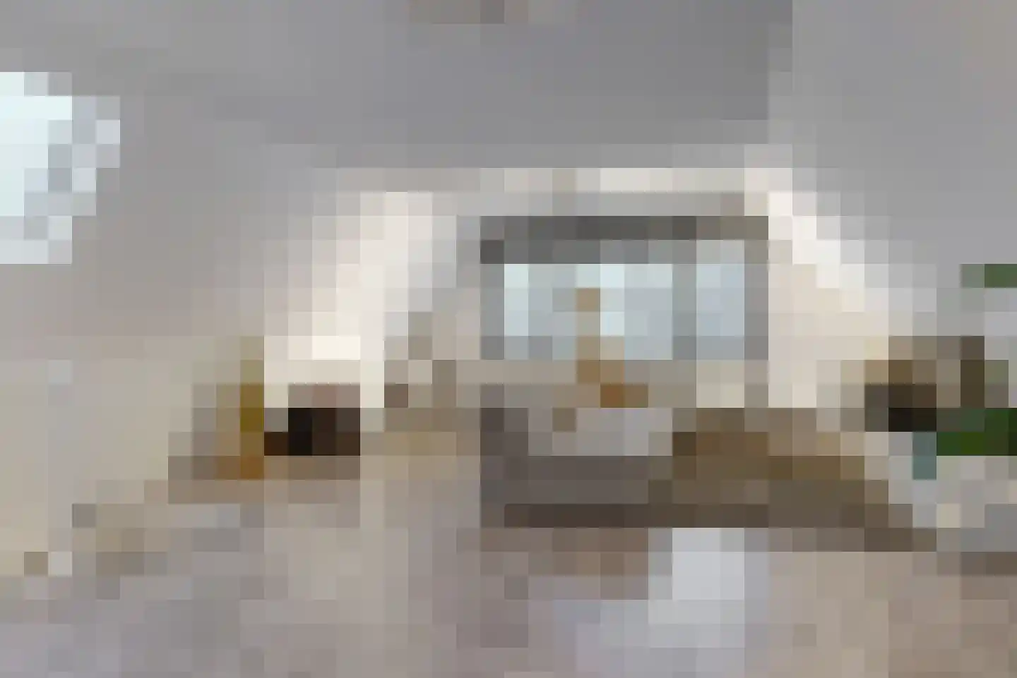 Pieter de Hoochstraat 33 Maassluis thumbnail 41
