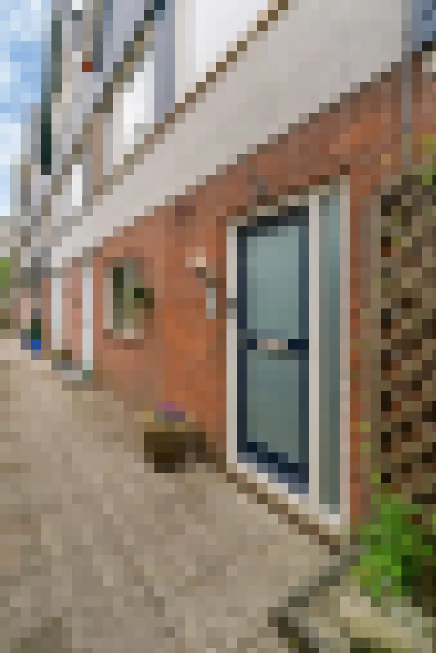 Pieter de Hoochstraat 33 Maassluis thumbnail 8