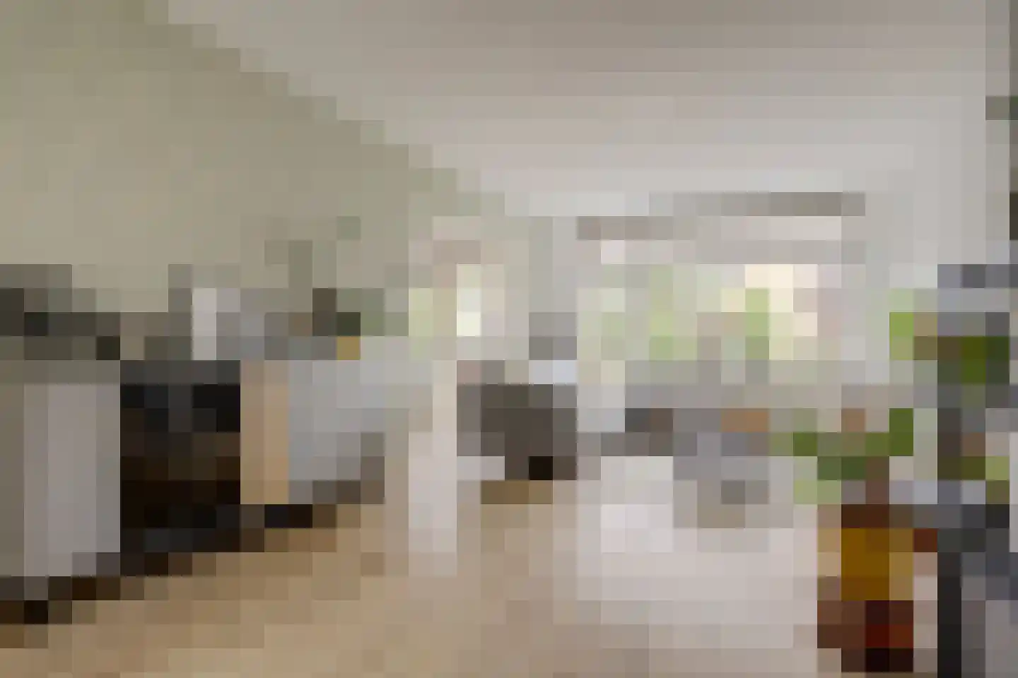 Pieter de Hoochstraat 34 Ridderkerk thumbnail 10