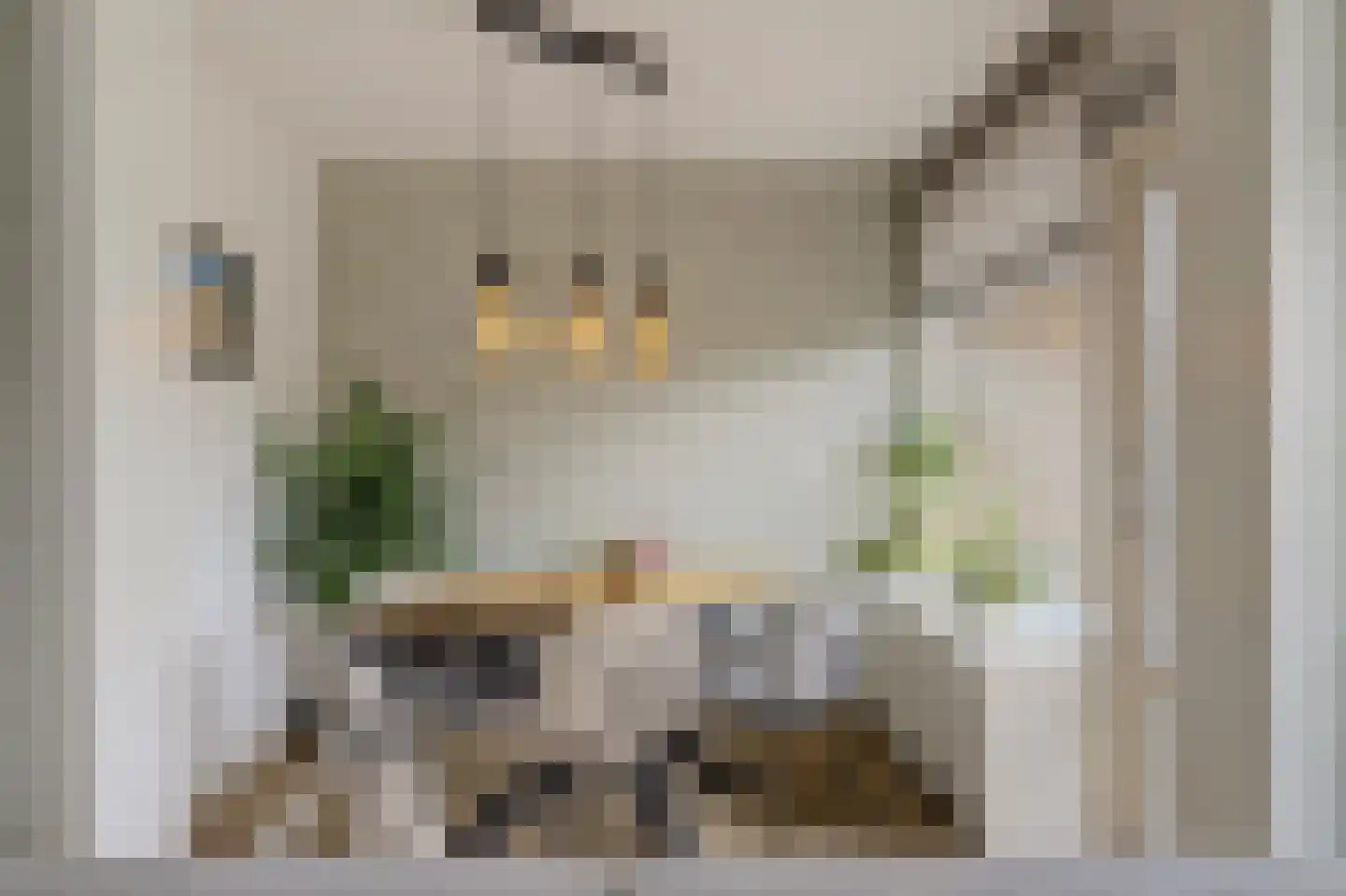Pieter de Hoochstraat 34 Ridderkerk thumbnail 15