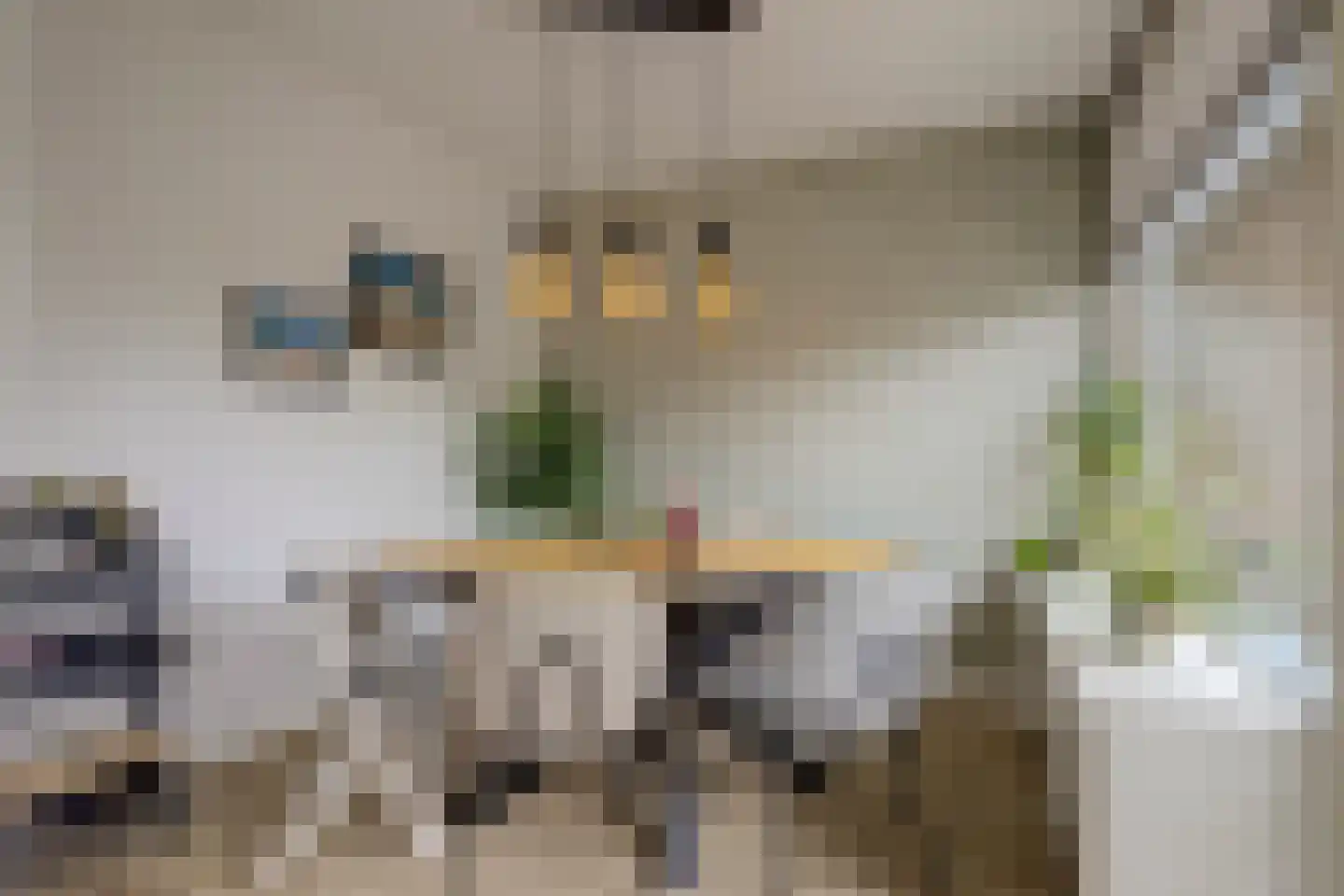 Pieter de Hoochstraat 34 Ridderkerk thumbnail 16