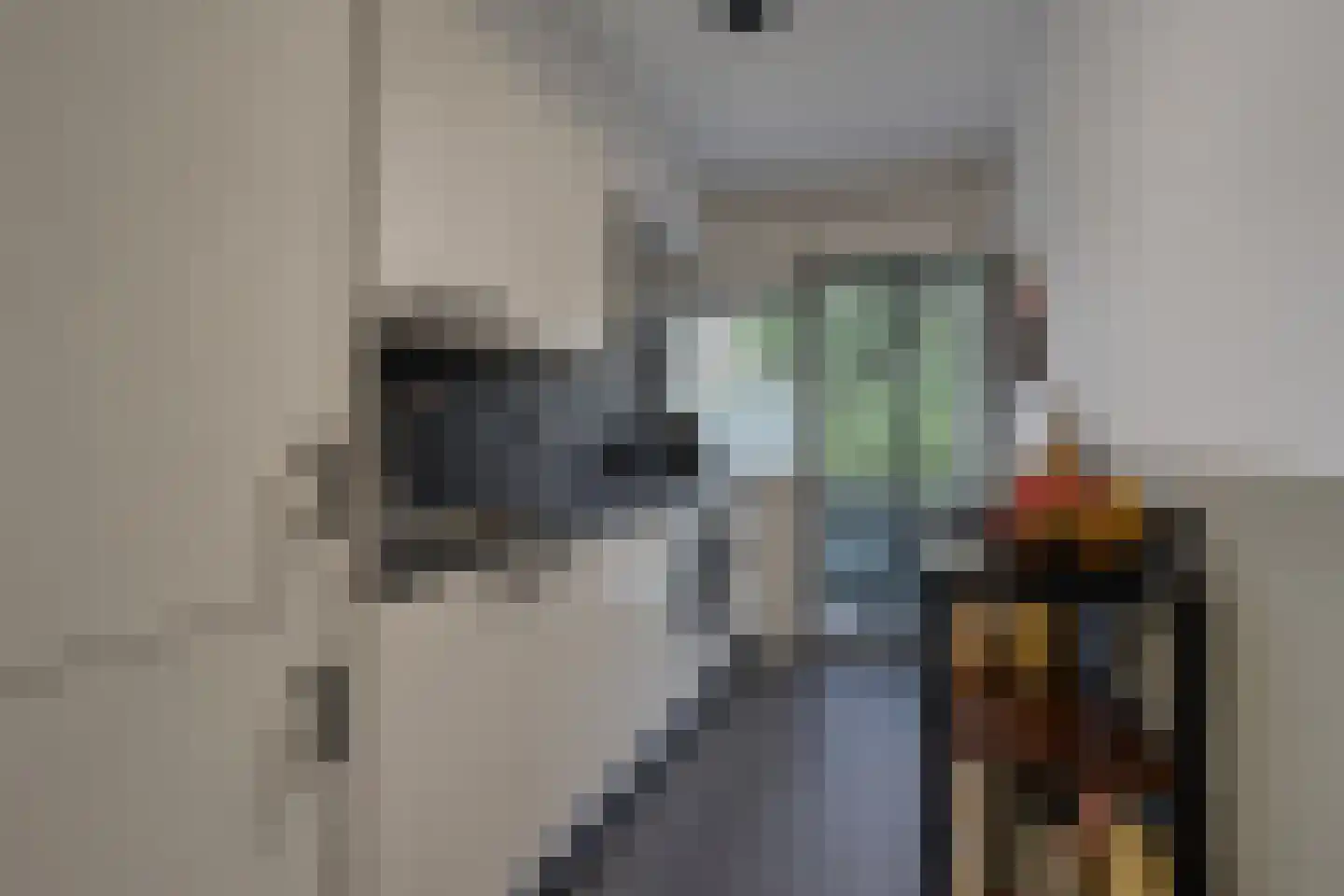 Pieter de Hoochstraat 34 Ridderkerk thumbnail 18