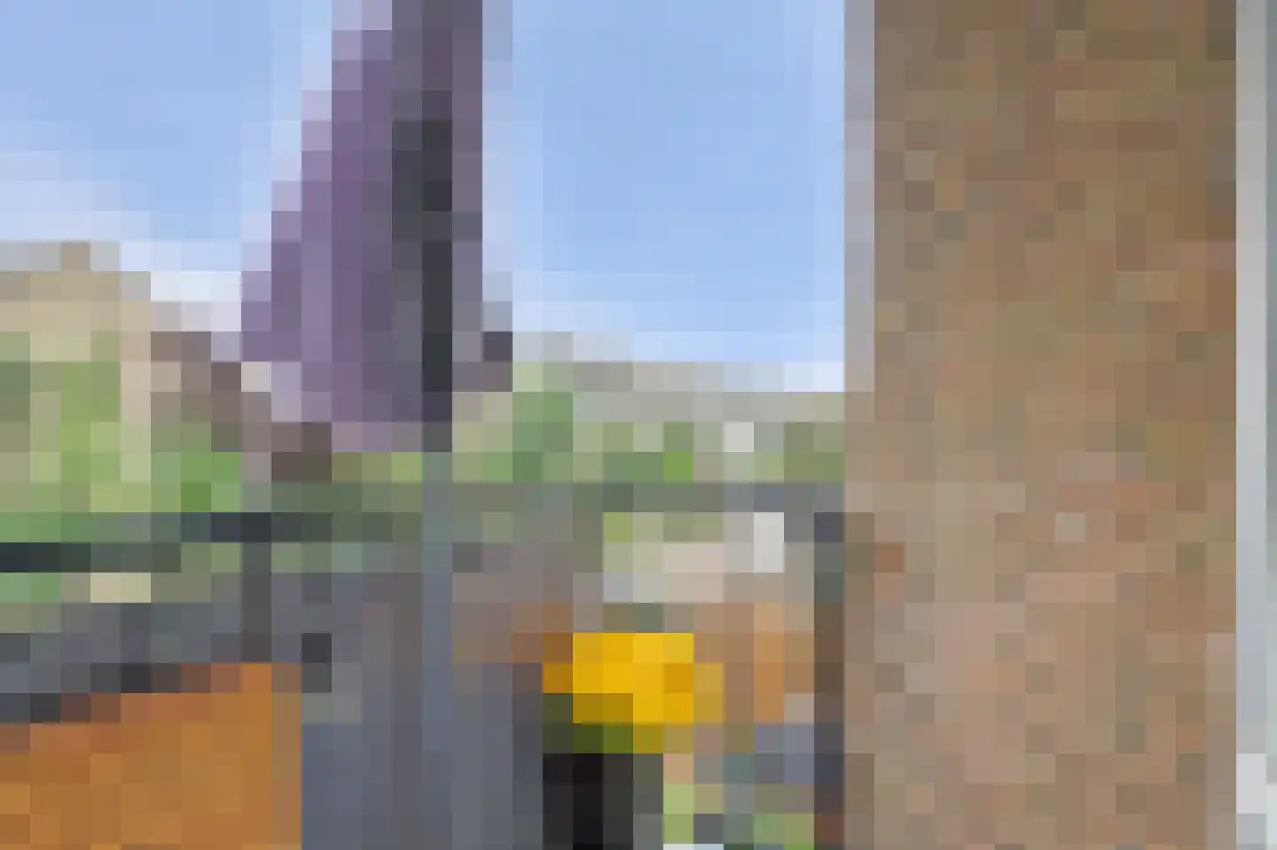 Pieter de Hoochstraat 34 Ridderkerk thumbnail 30