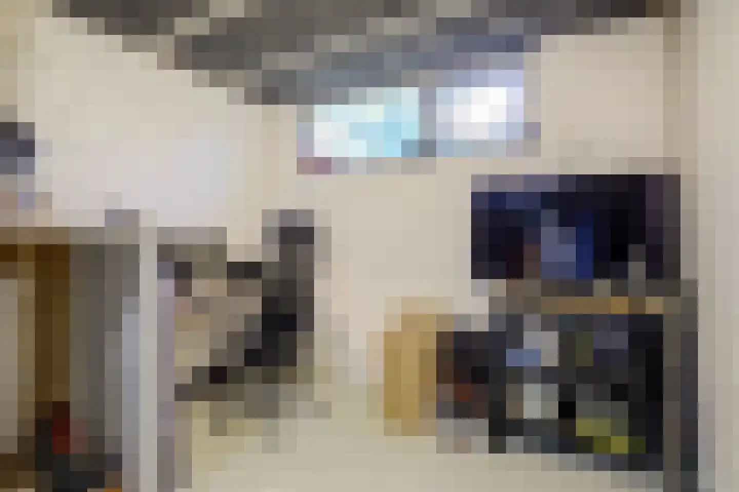 Pieter de Hoochstraat 34 Ridderkerk thumbnail 31