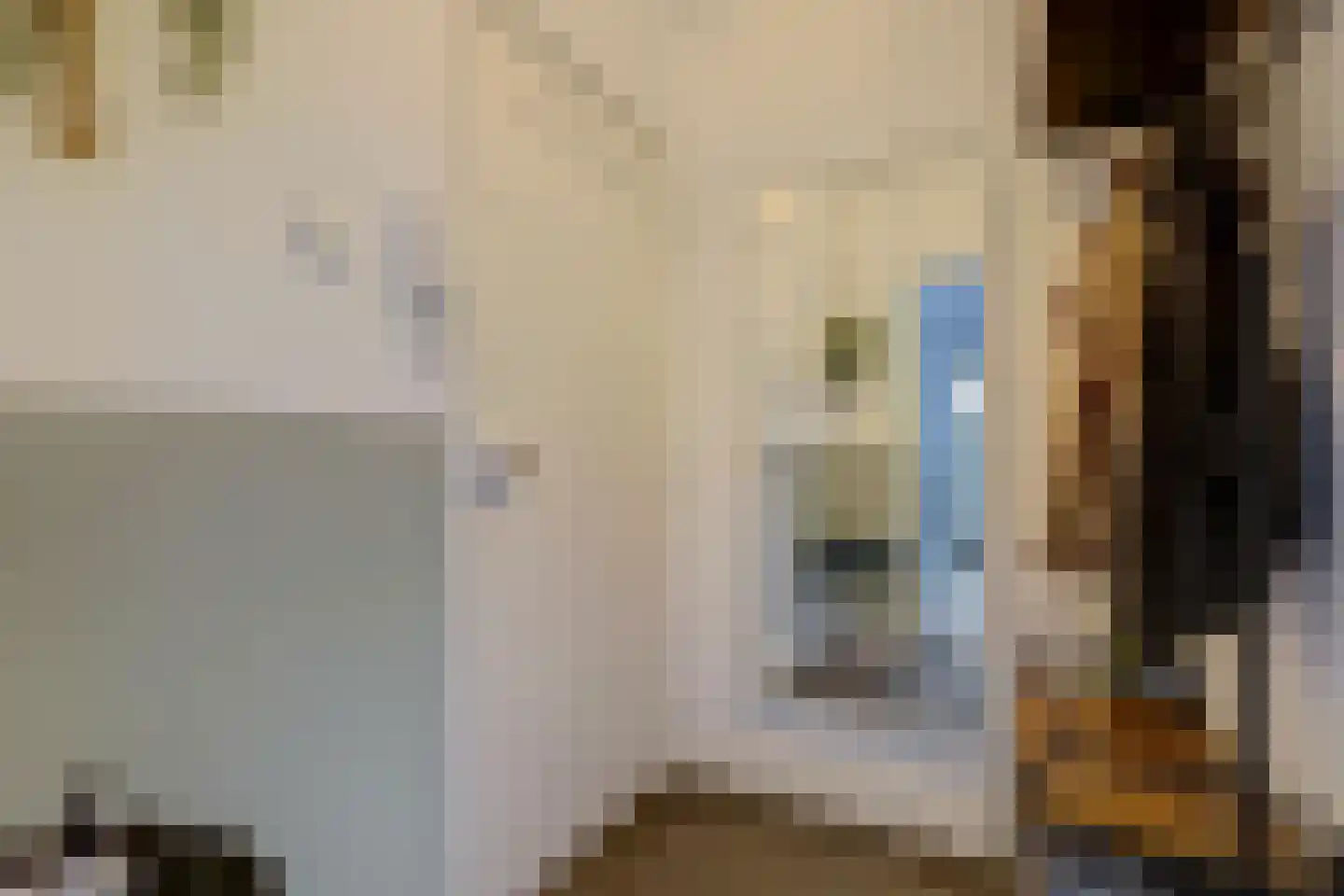 Pieter de Hoochstraat 34 Ridderkerk thumbnail 7