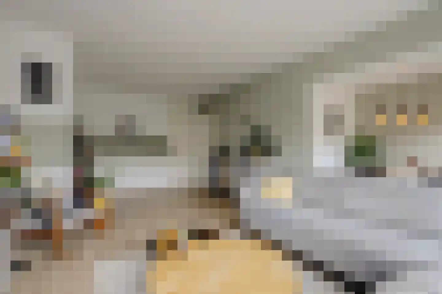 Pieter de Hoochstraat 34 Ridderkerk thumbnail 9