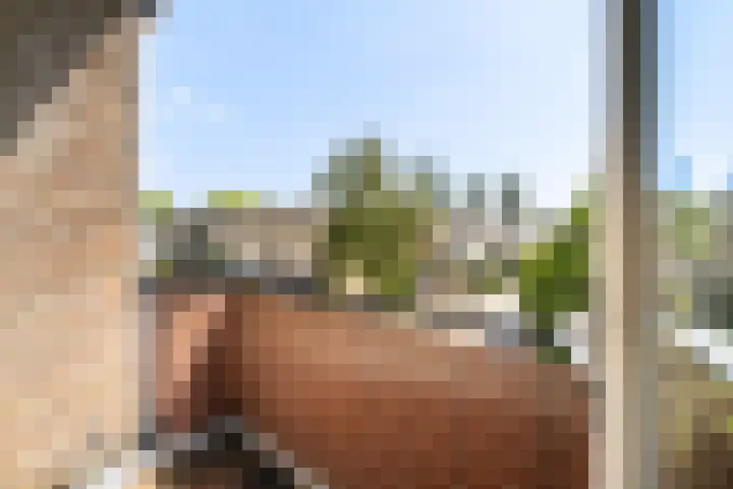 Pieter de Hoochstraat 36 Ridderkerk thumbnail 15