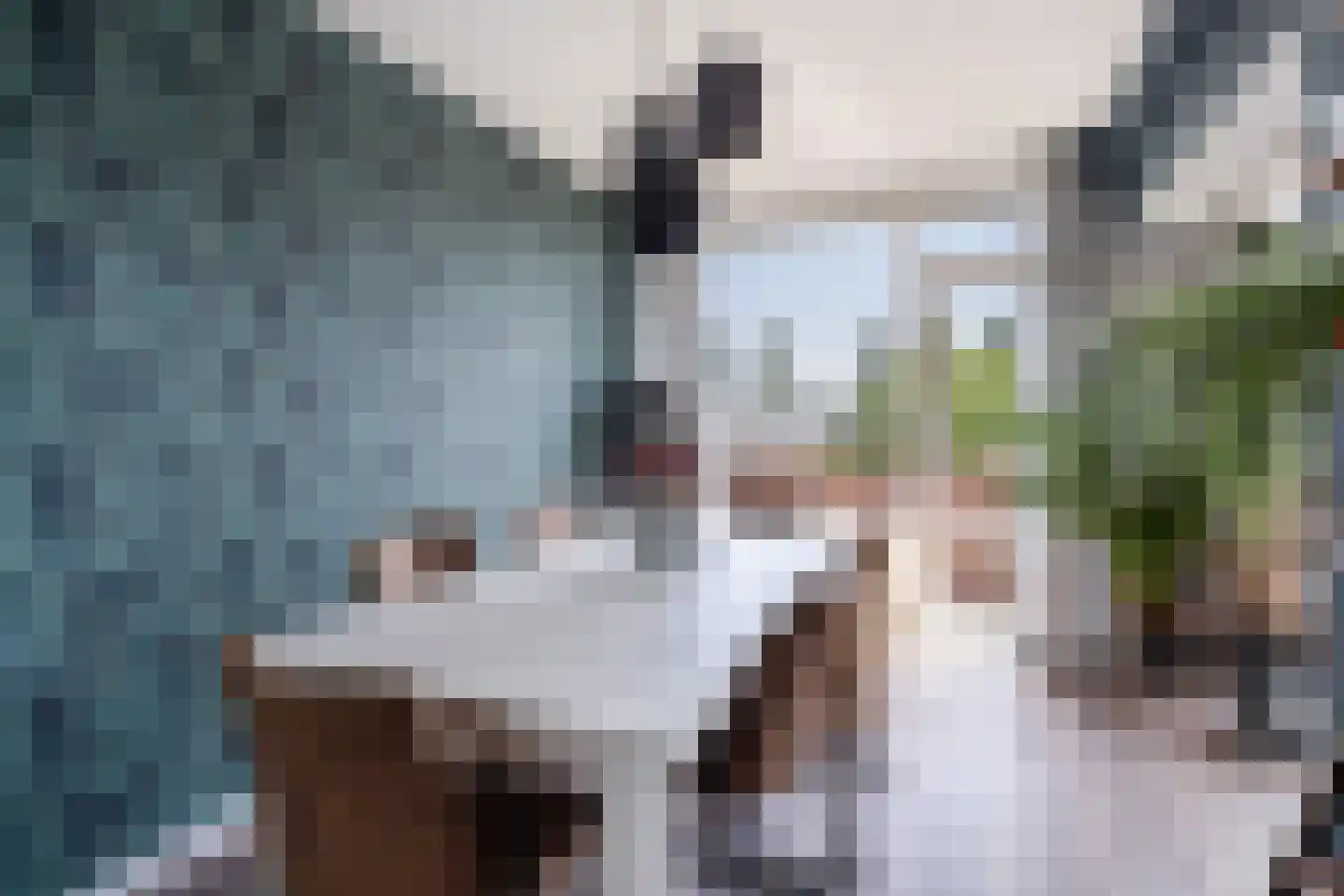Pieter de Hoochstraat 36 Ridderkerk thumbnail 18