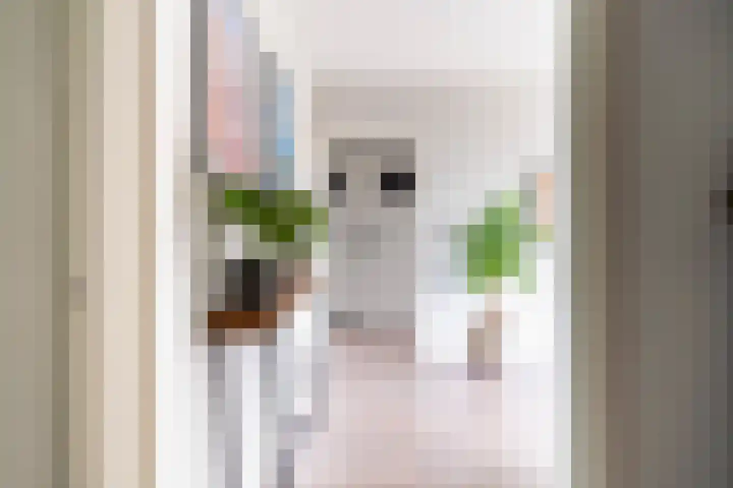 Pieter de Hoochstraat 36 Ridderkerk thumbnail 36