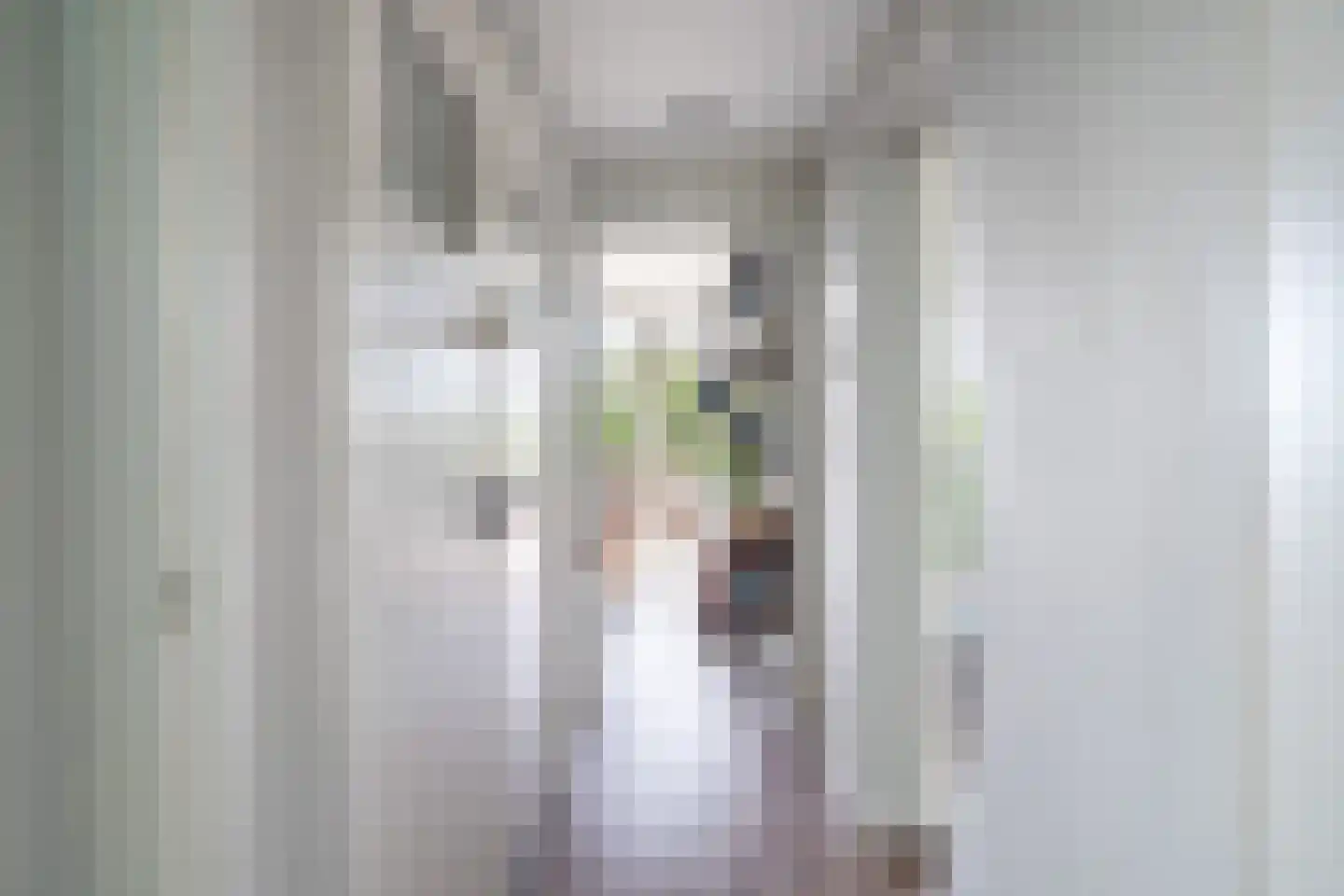 Pieter de Hoochstraat 36 Ridderkerk thumbnail 37