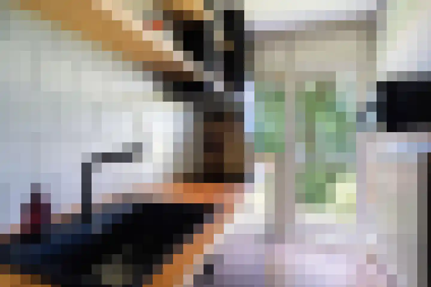 Pieter de Hoochstraat 36 Ridderkerk thumbnail 44