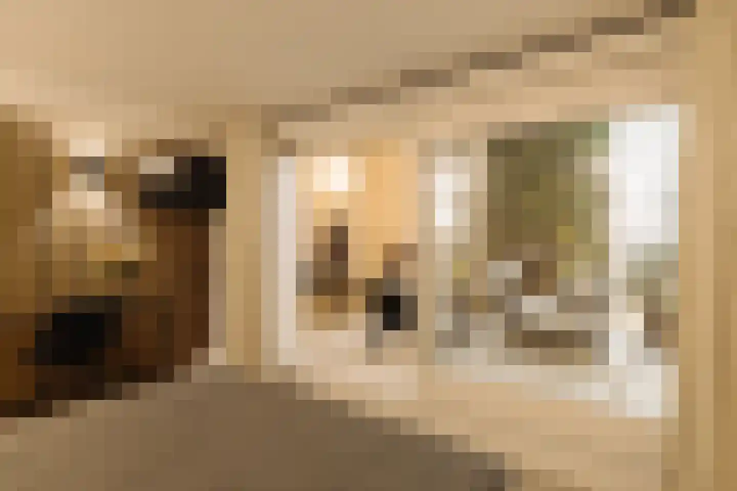 Pieter de Hoochstraat 42 A Rotterdam thumbnail 19