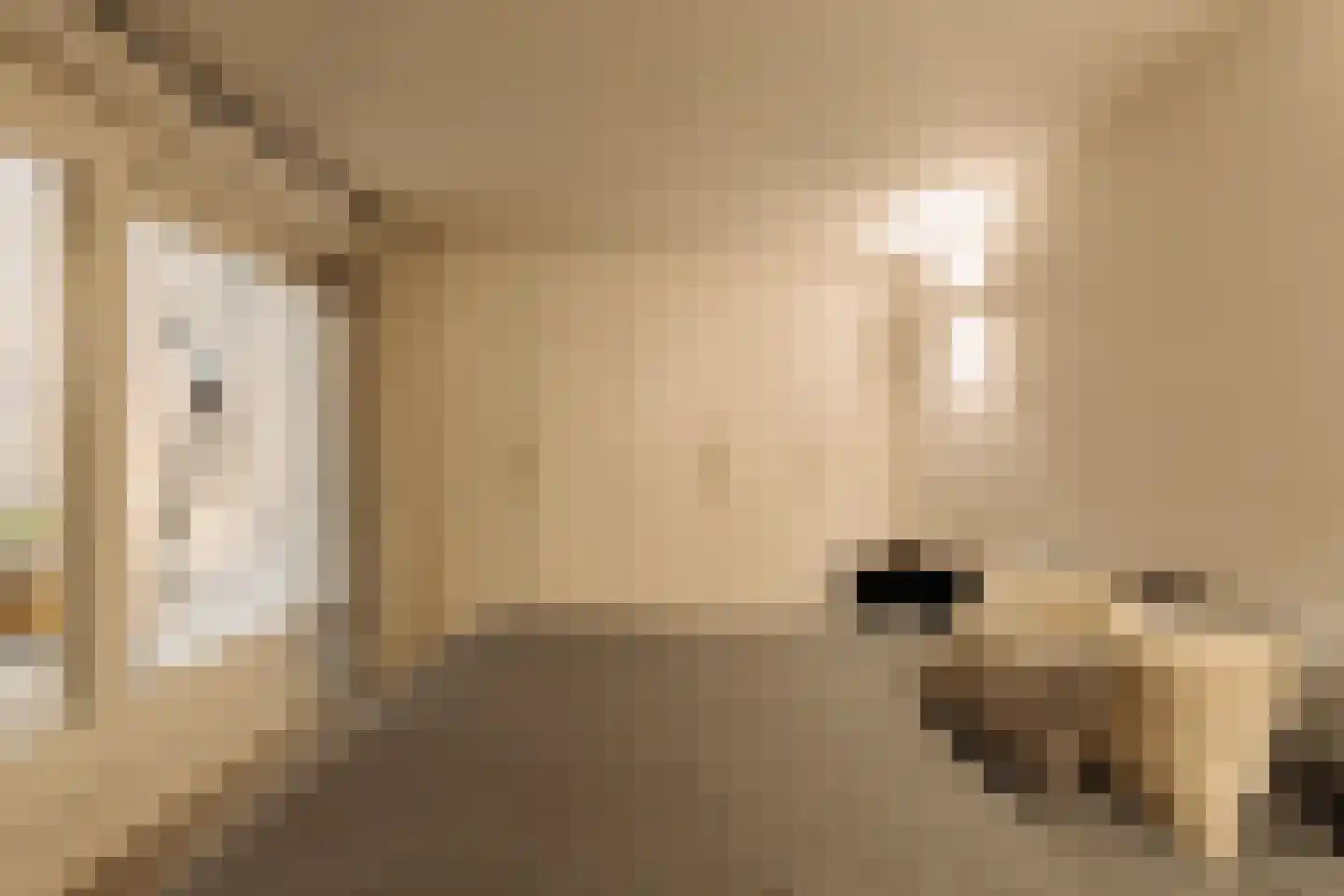 Pieter de Hoochstraat 42 A Rotterdam thumbnail 20
