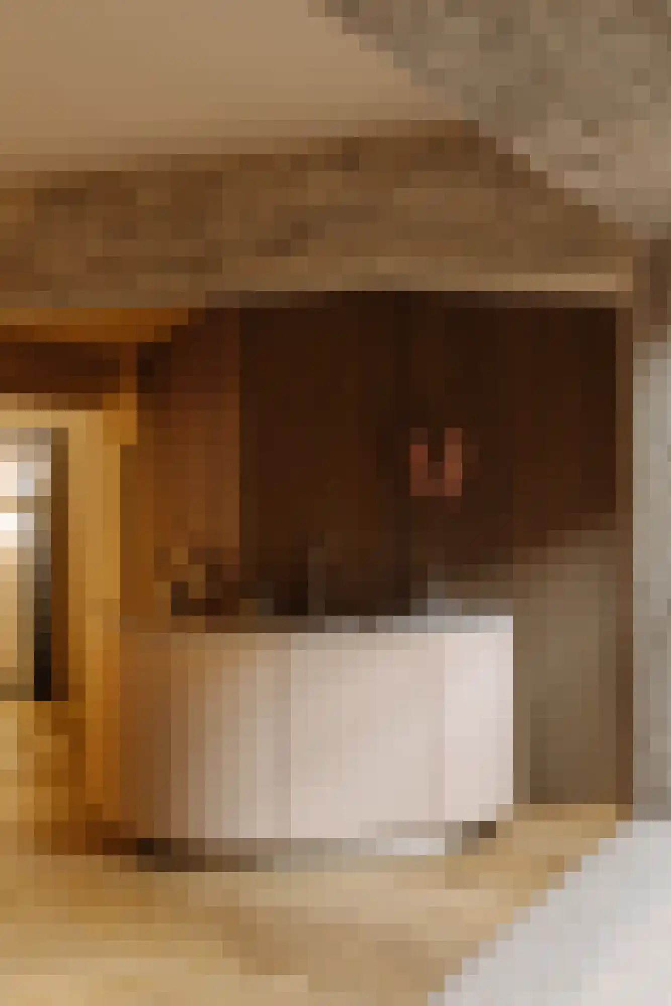 Pieter de Hoochstraat 42 A Rotterdam thumbnail 31