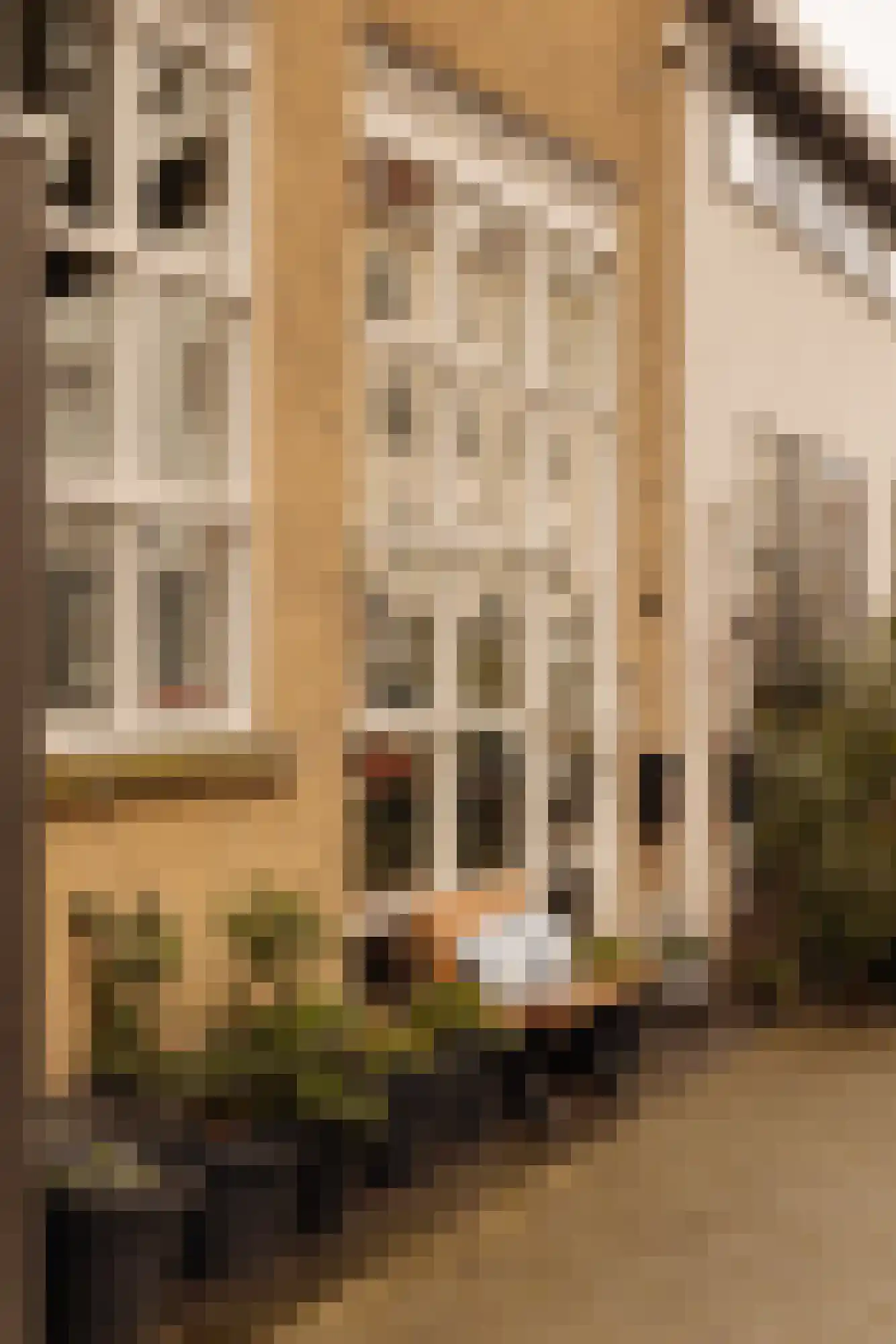 Pieter de Hoochstraat 42 A Rotterdam thumbnail 5