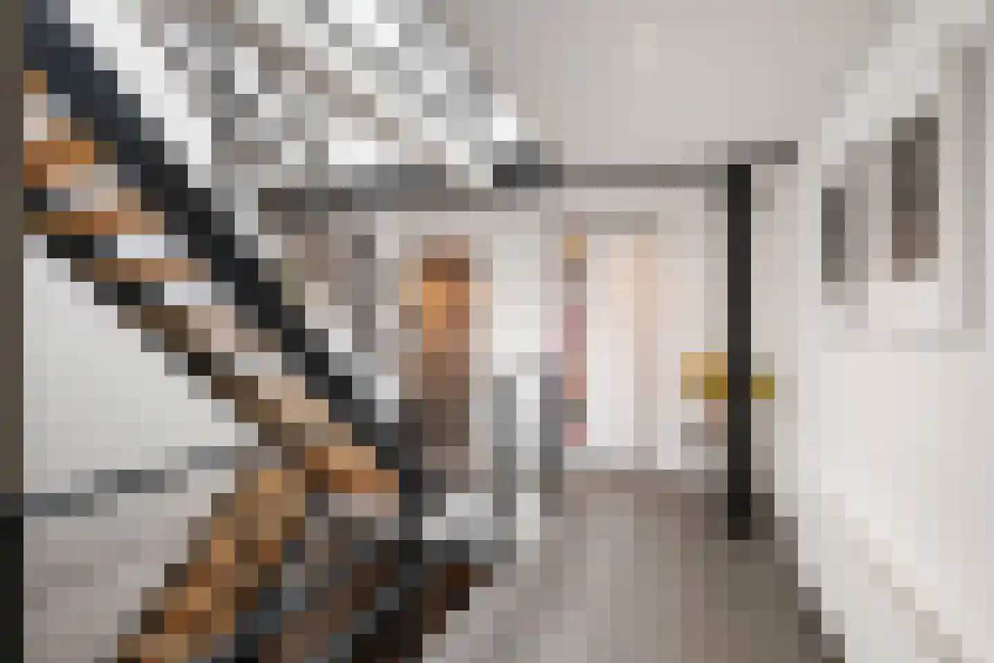 Pieter de Hoochstraat 42 C Rotterdam thumbnail 21
