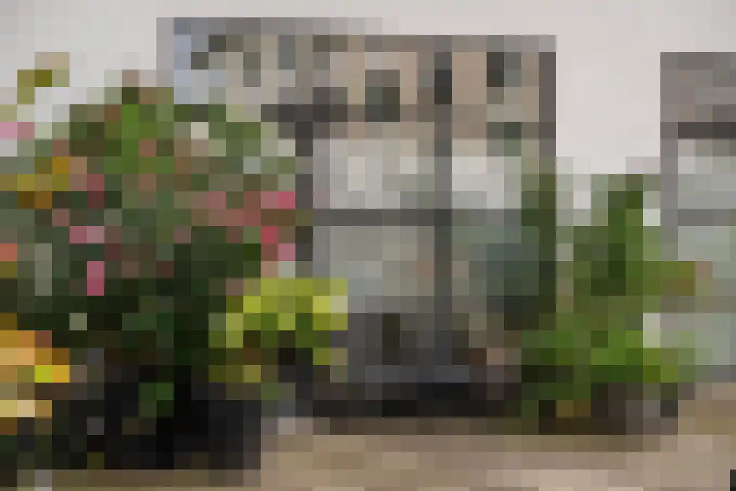 Pieter de Hoochstraat 42 C Rotterdam thumbnail 39