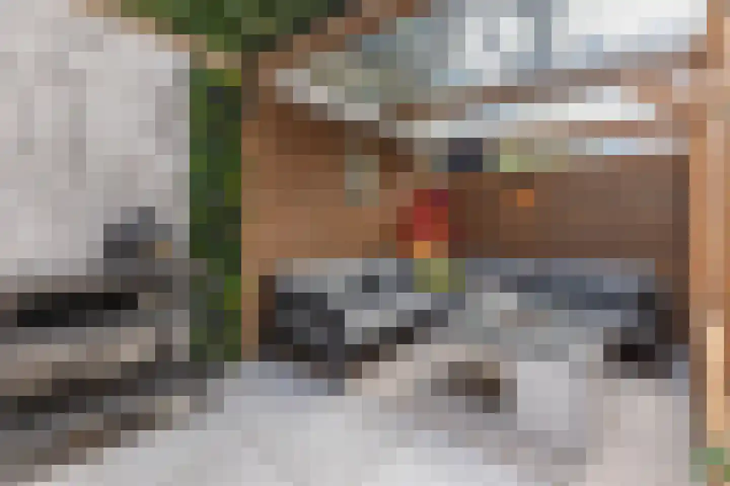 Pieter de Hoochstraat 5 F Amsterdam thumbnail 16