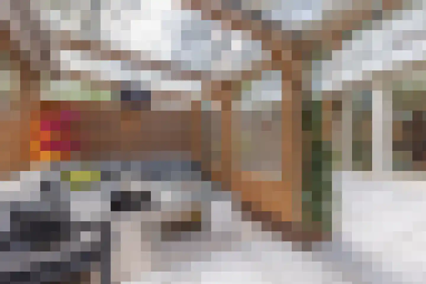 Pieter de Hoochstraat 5 F Amsterdam thumbnail 17