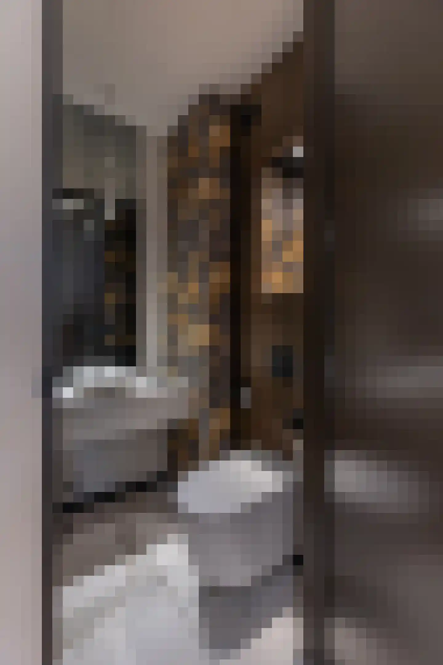 Pieter de Hoochstraat 5 F Amsterdam thumbnail 22
