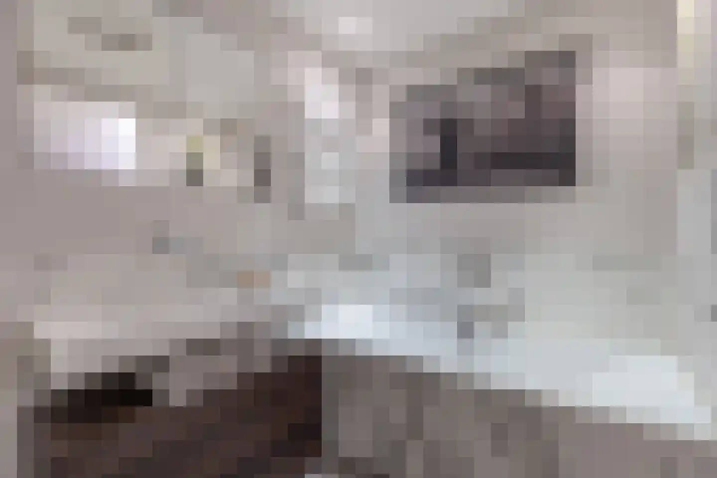 Pieter de Hoochstraat 5 F Amsterdam thumbnail 25