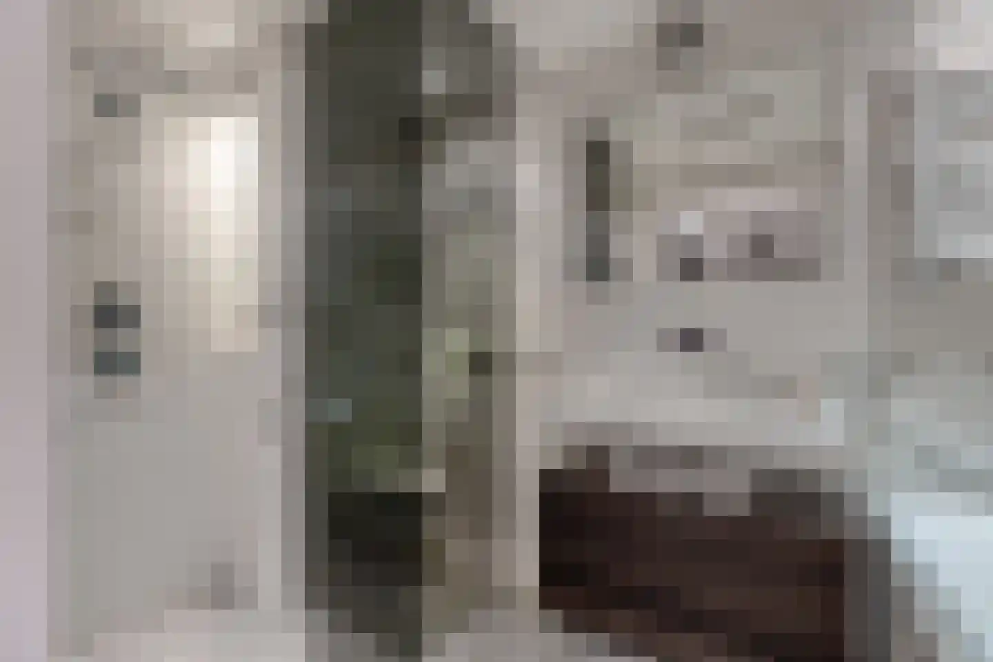 Pieter de Hoochstraat 5 F Amsterdam thumbnail 26