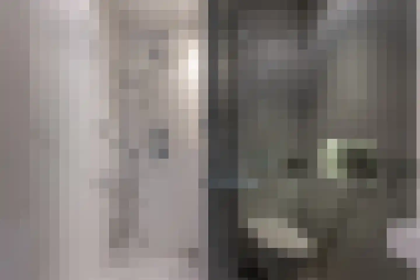 Pieter de Hoochstraat 5 F Amsterdam thumbnail 28