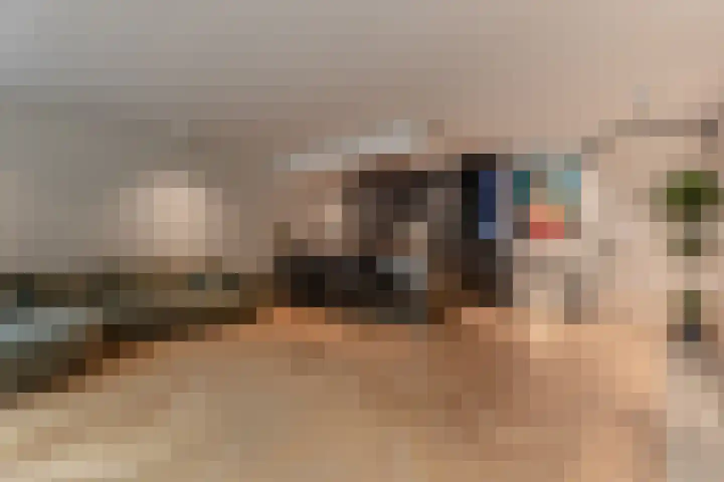 Pieter de Hoochstraat 5 F Amsterdam thumbnail 5
