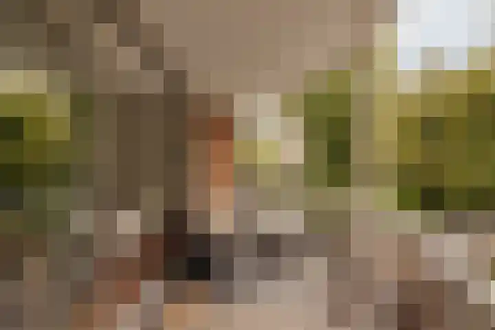 Pieter de Hoochstraat 5 G Amsterdam thumbnail 11
