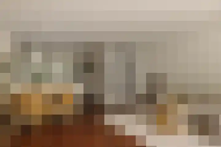 Pieter de Hoochstraat 5 G Amsterdam thumbnail 13