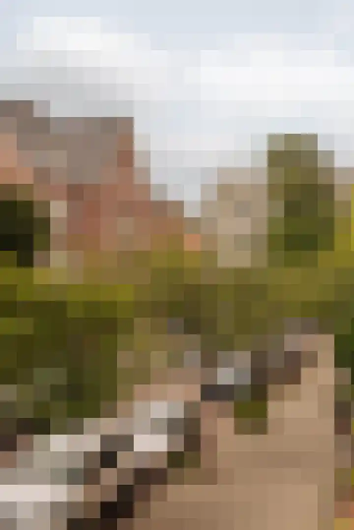 Pieter de Hoochstraat 5 G Amsterdam thumbnail 21