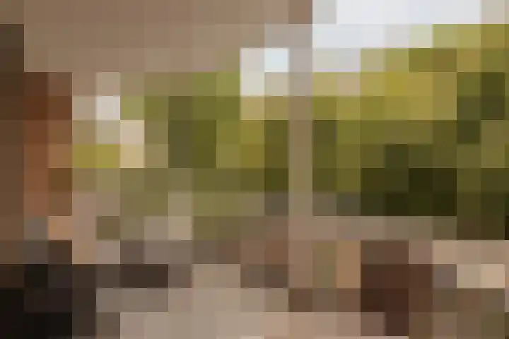 Pieter de Hoochstraat 5 G Amsterdam thumbnail 4