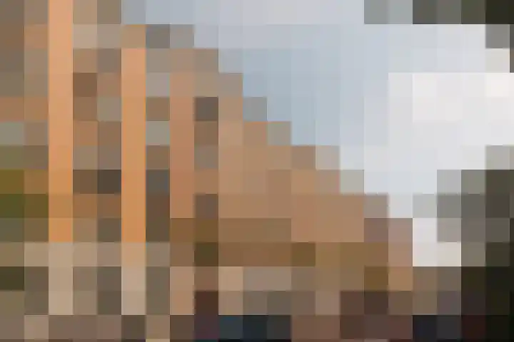 Pieter de Hoochstraat 5 G Amsterdam thumbnail 5