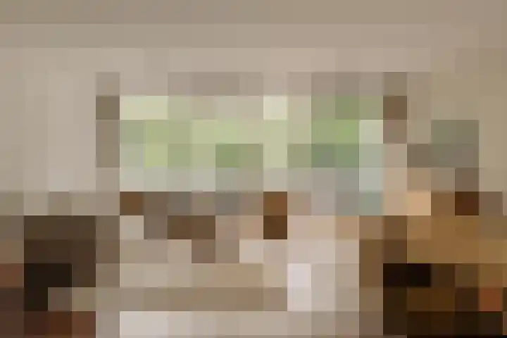 Pieter de Hoochstraat 5 G Amsterdam thumbnail 6